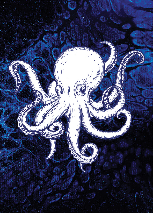 Octopus Blue Ocean Watch