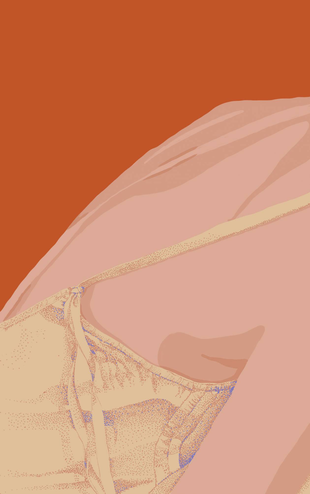 Detail caraco