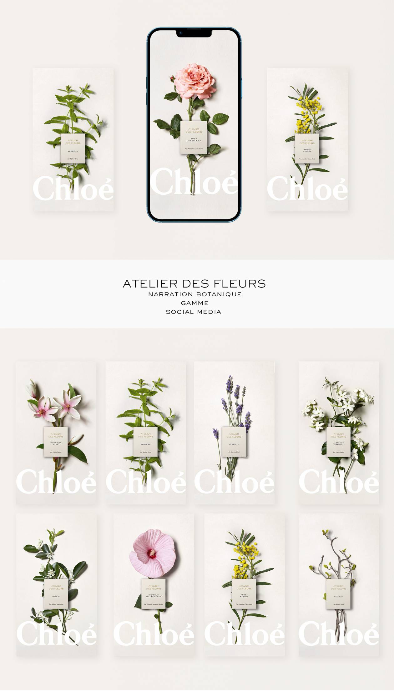 Chloé - Narration Botanique