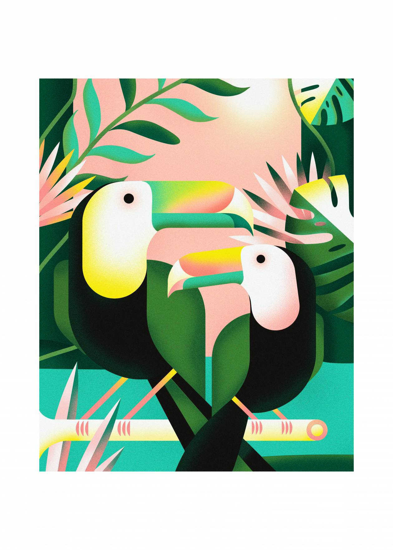 Illustration Toucan