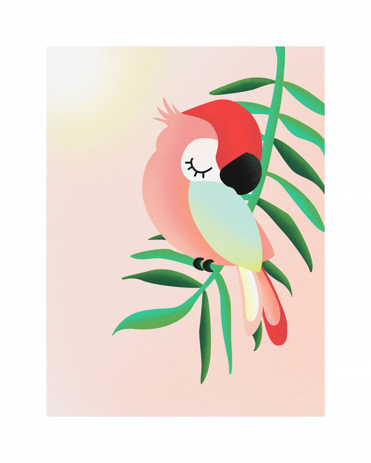 Illustration perroquet 