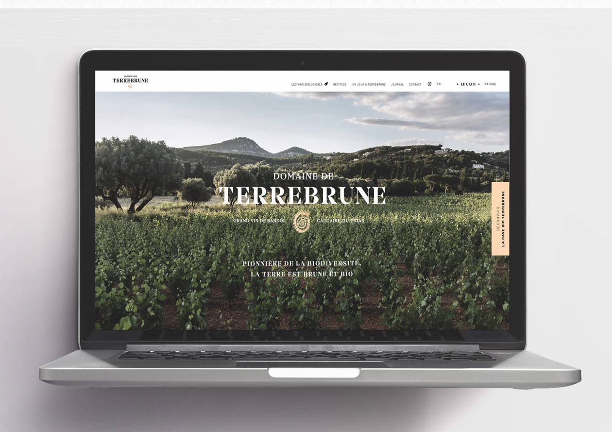 Terrebrune - HP