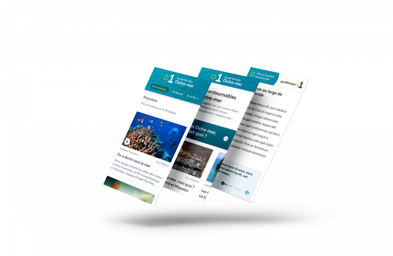 (Version Mobile) Responsive Design pour le portail des Outre-mer.