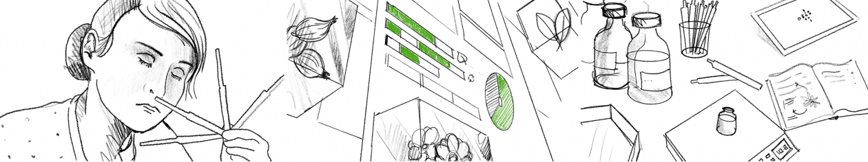 Storyboard