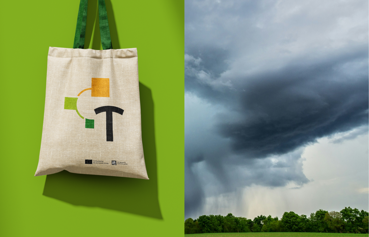 bag logo Transform
