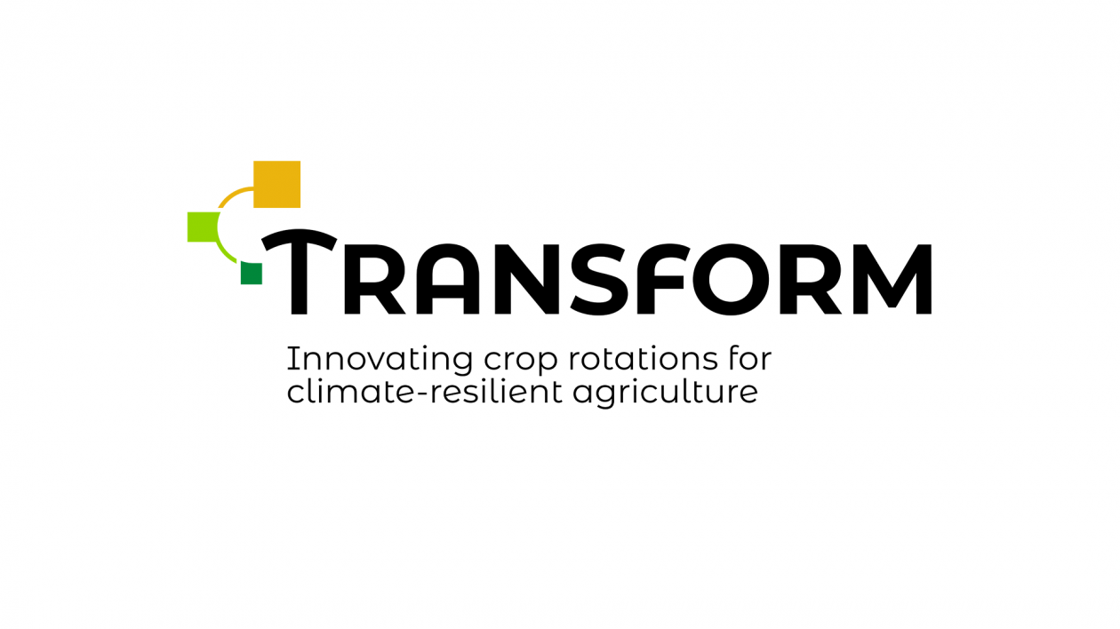 logo Transform