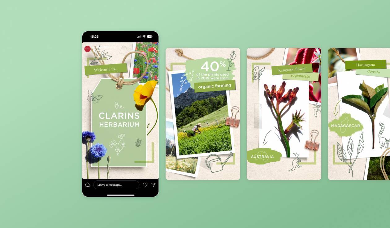 Clarins Sustainable Development - 3