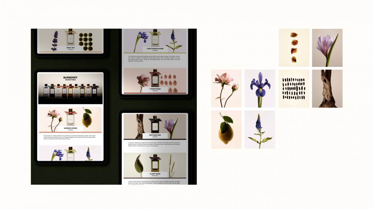 Burberry - Signatures