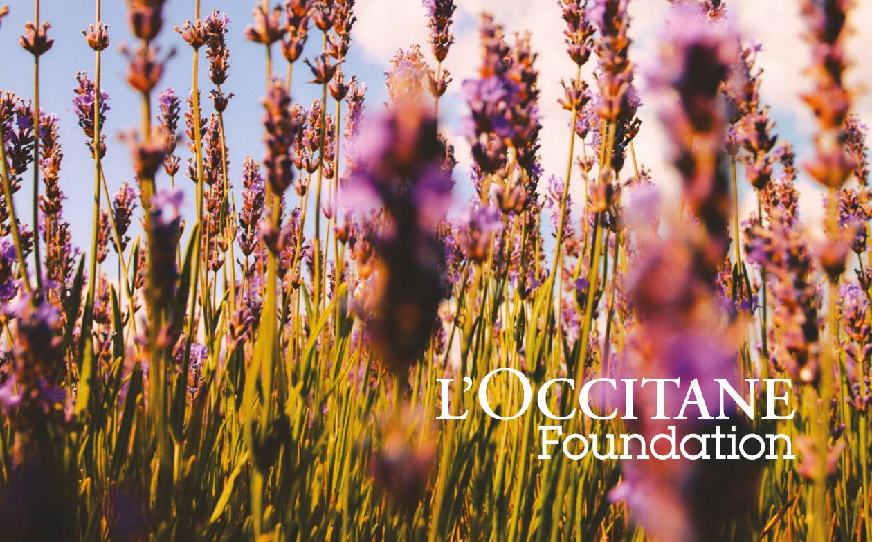 Rapport annuel Fondation L'Occitane 2024