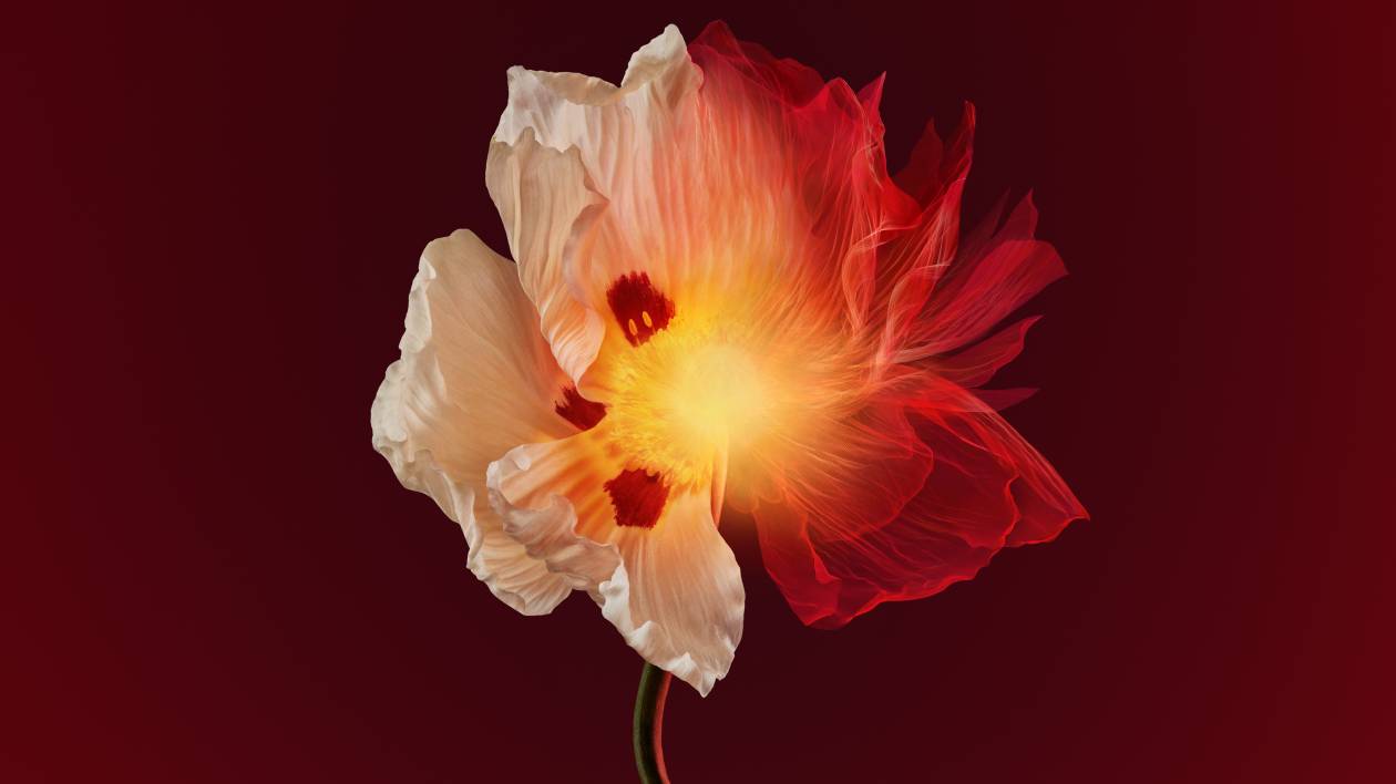 fleur
