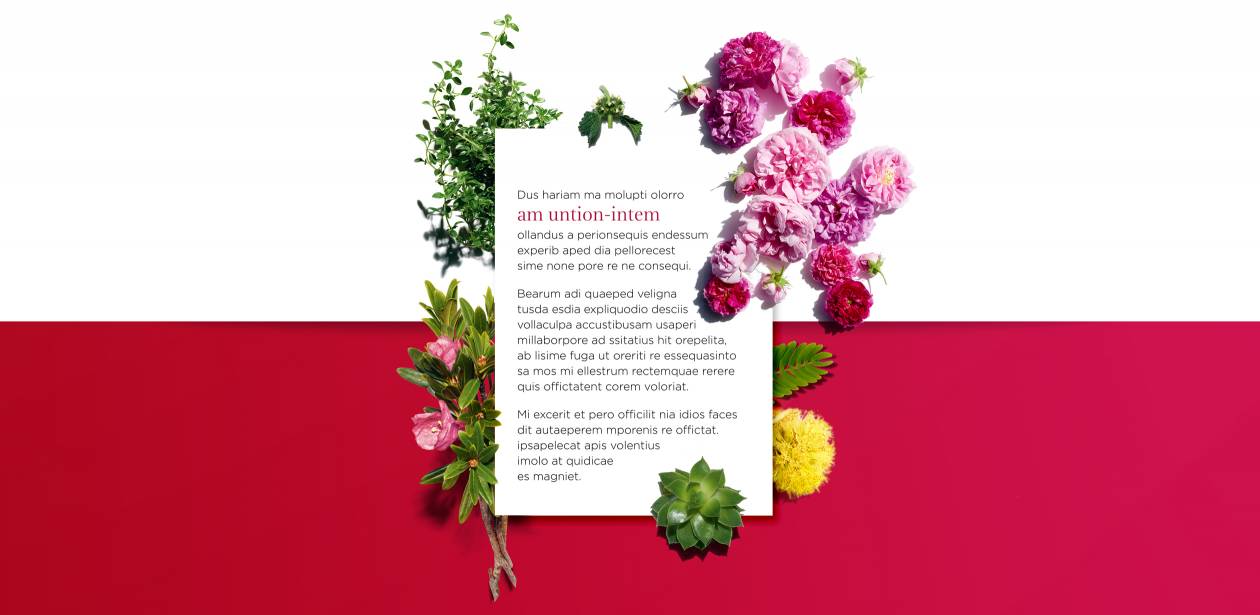 Domaine Clarins