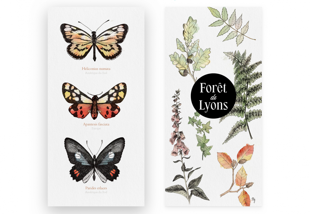 Illustrations de cartes