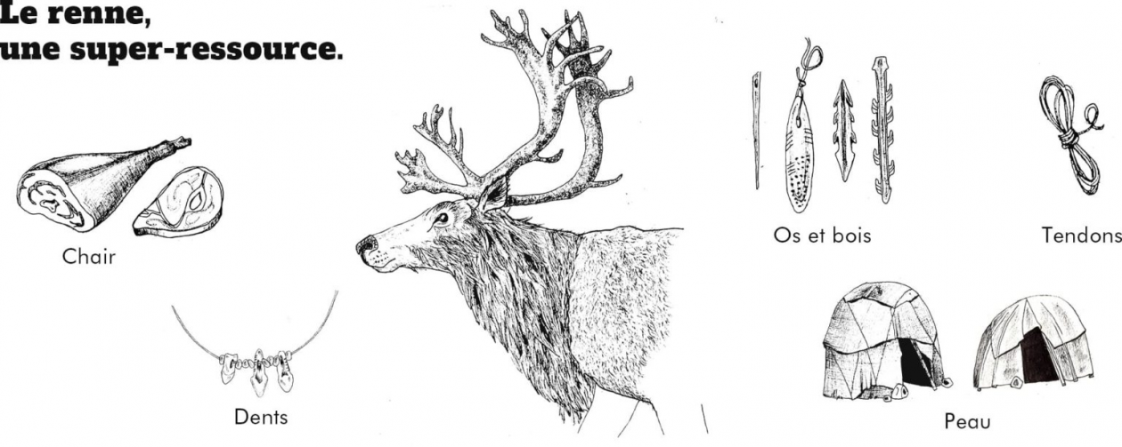 Illustrations Préhistoire 01