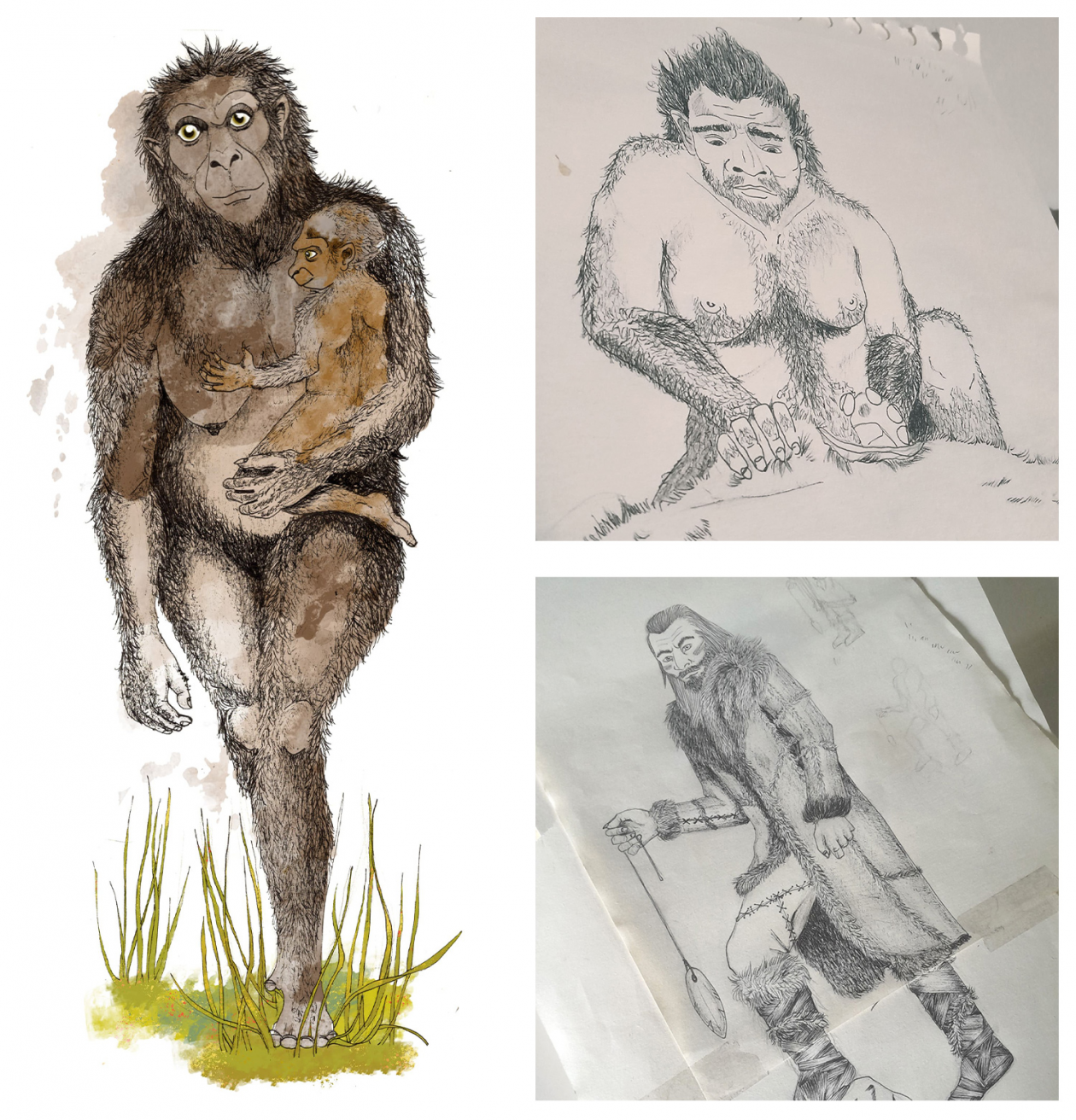 Illustrations Préhistoire 03