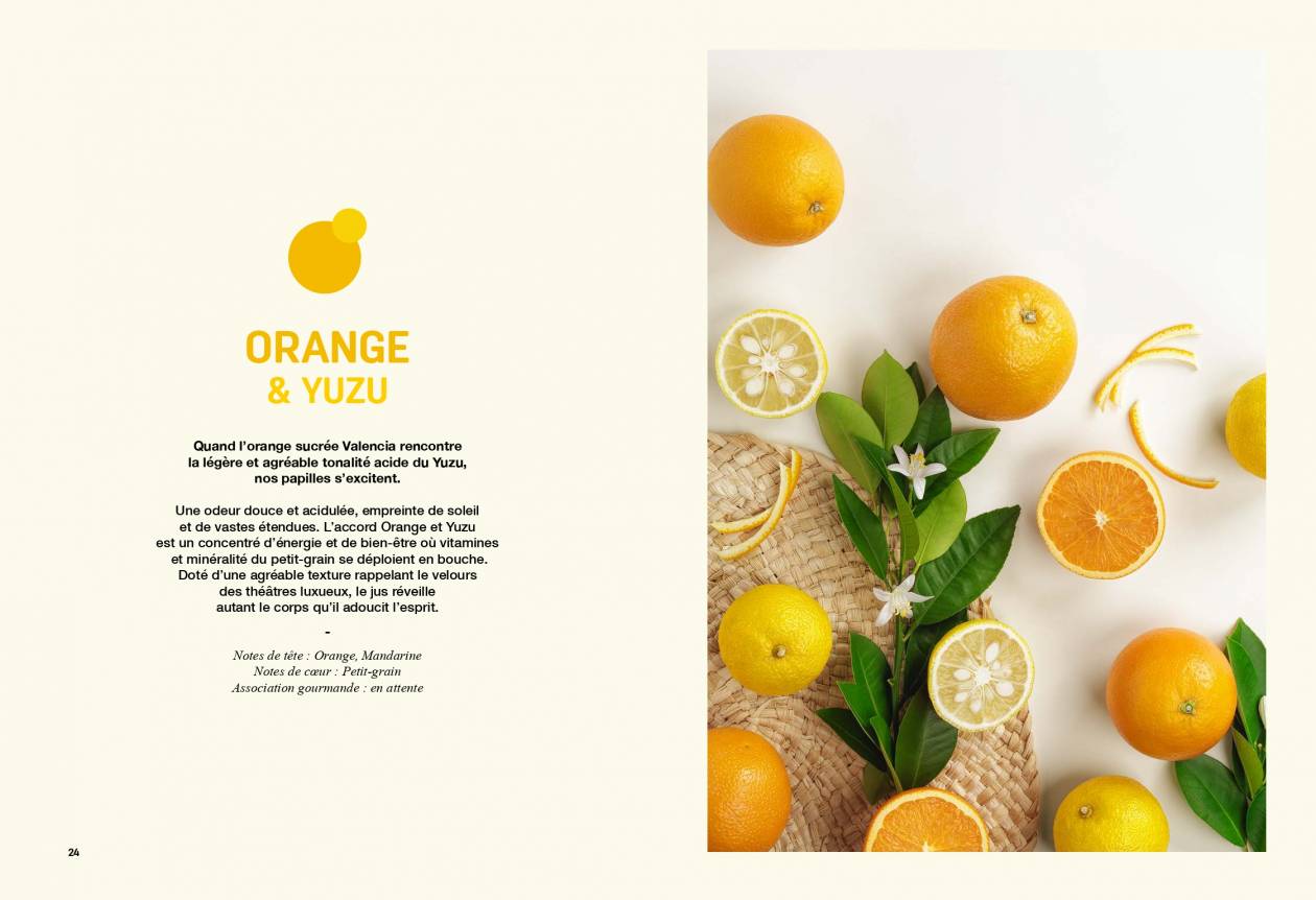 Page 13 Union Orange et Yuzu