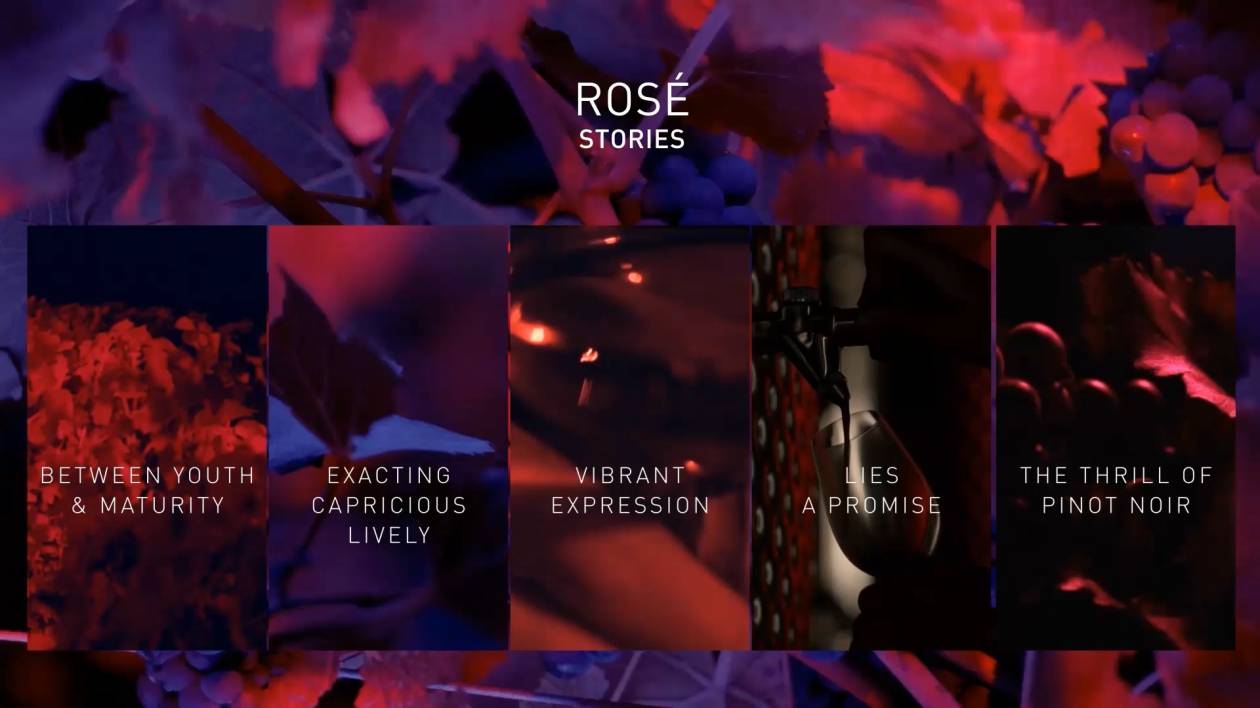 ROSE DOMP